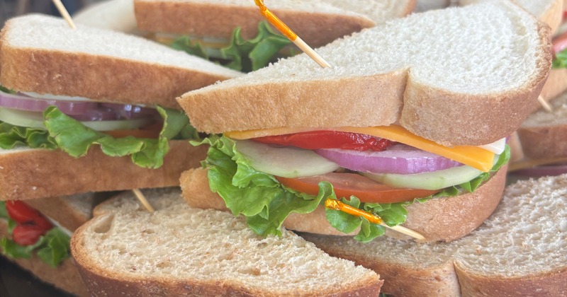 Stack of veggie and cheese sandwiches
