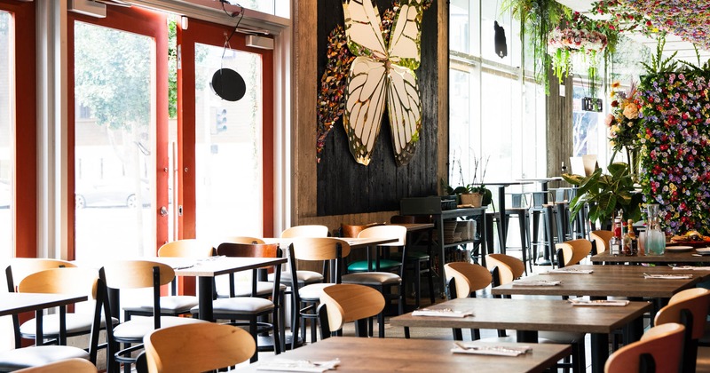 Interior, big dining area