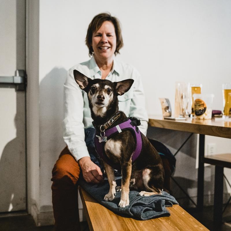 Dog friendly gallery photo number 4