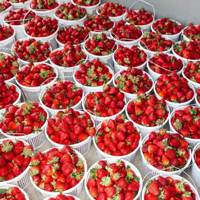 gallery photo number 8