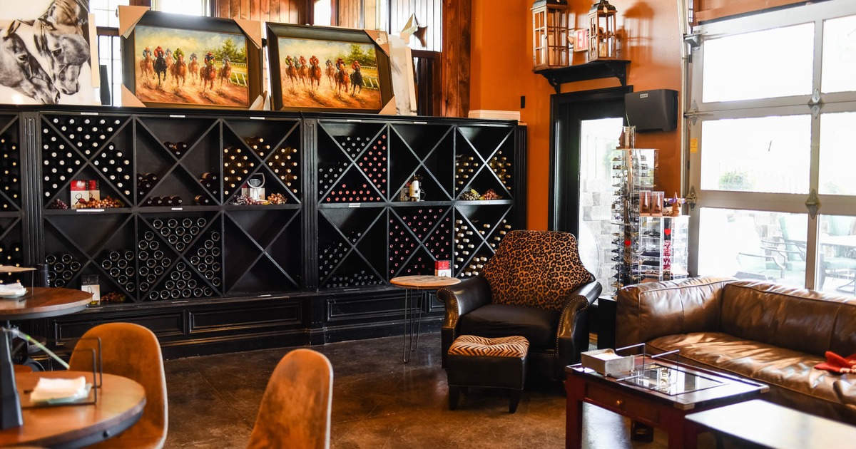 Interior, armchair with sofa and coffee table, large over the wall wine rack, paintings