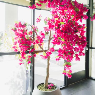 gallery photo number 150