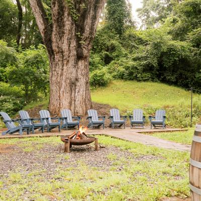 Wooded outdoor gathering space with fire pit, blue Adirondack chairs, and large tree.