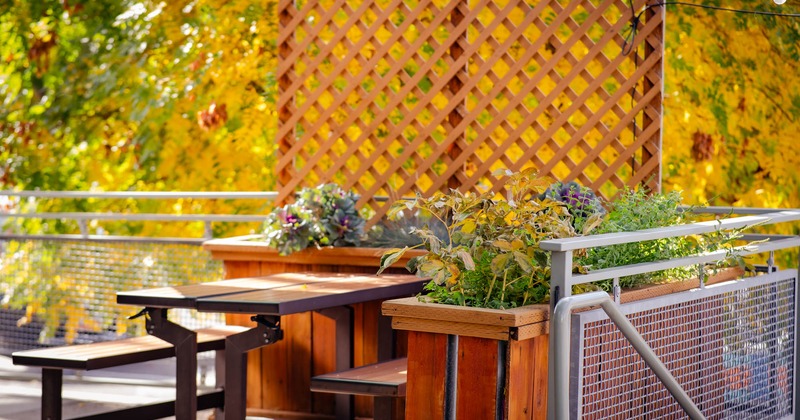 Outdoor terrace seating area