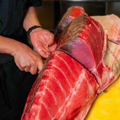 Chef slicing a large fresh tuna.