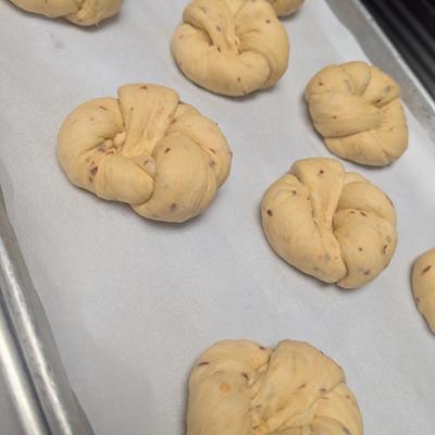 gallery photo number 116