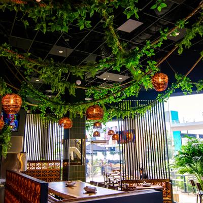 Dining area, hanging plants.