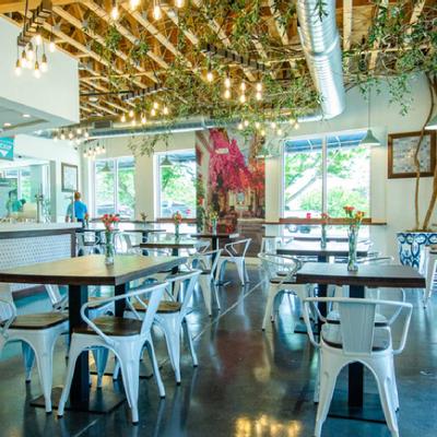 gallery photo number 16