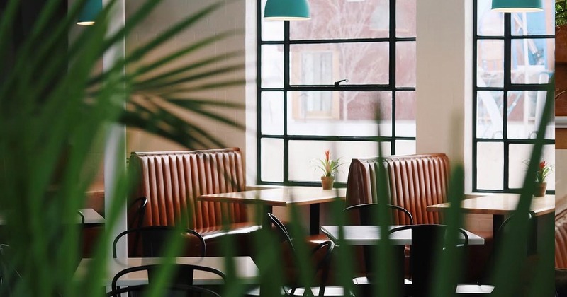 Brown leather booths, large windows, pendant lights, partially obscured by green leaves