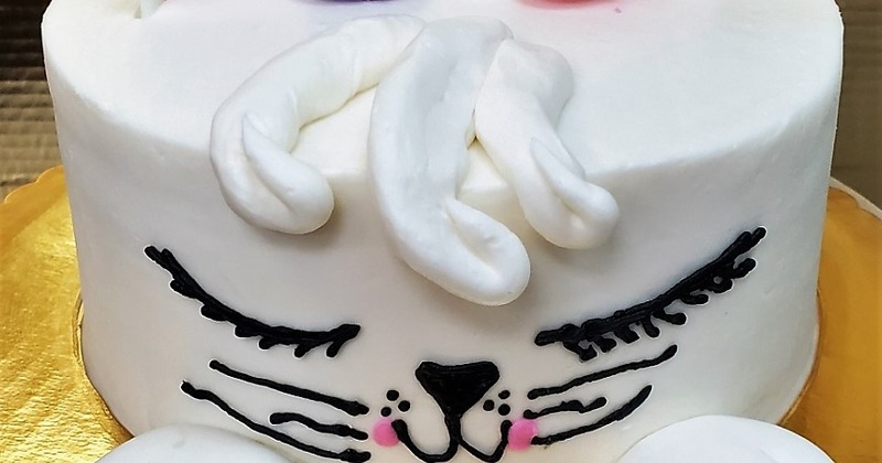 White kitty cake