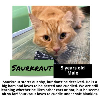 gallery photo number 5