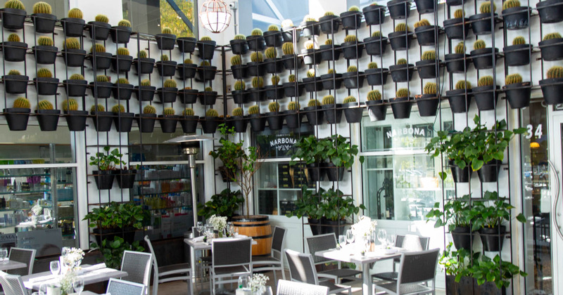 Exterior, seating area, lots of cactuses and other plants in pots