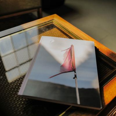 Drawing of a red flag.