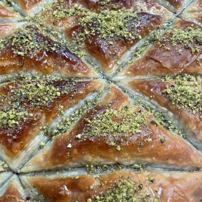 gallery photo number 14