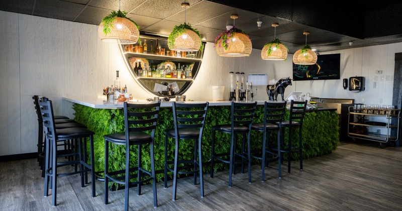 Interior, bar area with decorative plants and chandeliers