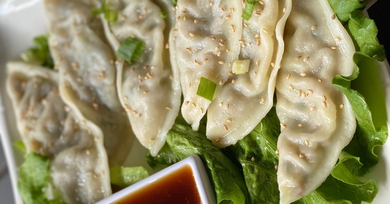 Veggie dumpling dish, closeup