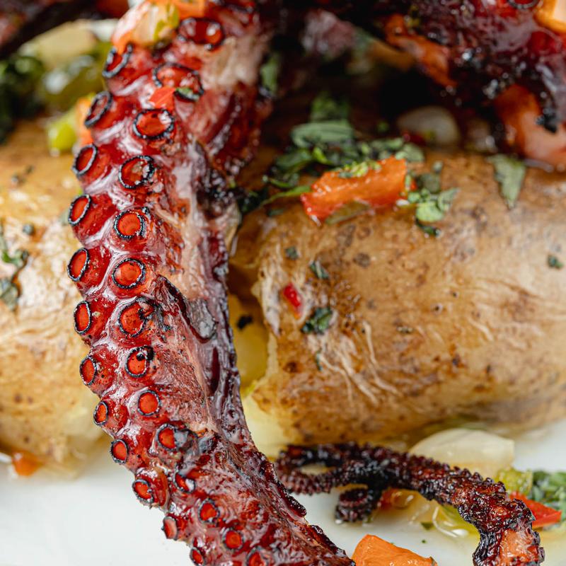 Portugues Octopus (Polvo a Legareiro) photo