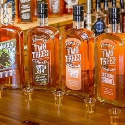 gallery photo number 14