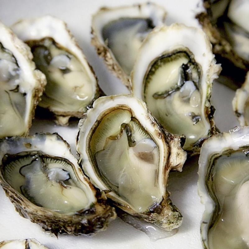 *Oysters “Barcat” Virginia, Chesapeake Bay photo