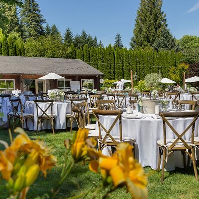 gallery photo number 249