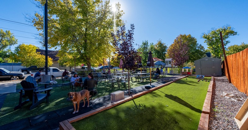 Garden on the lawn in the shade of trees, tables and benches