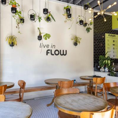 Interior featuring hanging plants, signage on the wall and wooden furniture.