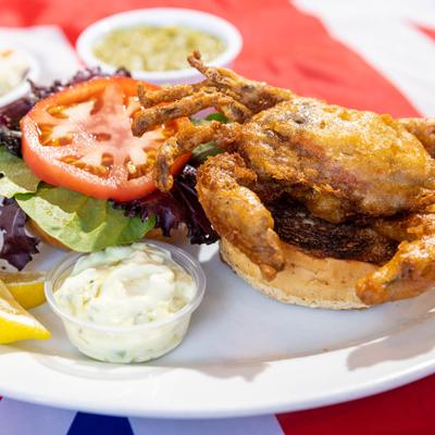 Soft-shell crab sandwich with lettuce, tomato, coleslaw and tartar sauce