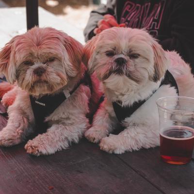 gallery photo number 4