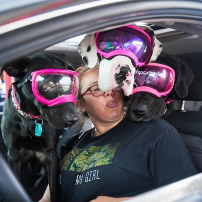 customer on curb with 3 dogs.