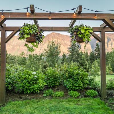 Garden ornaments,restaurant exterior