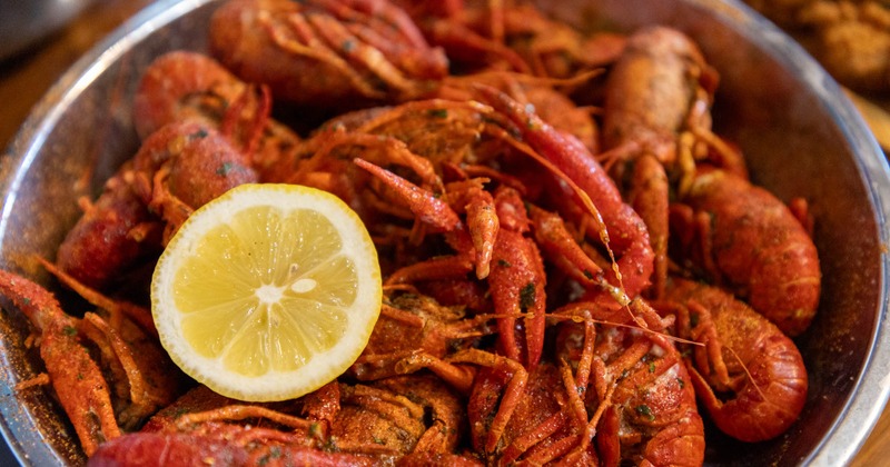 Crawfish, closeup shot