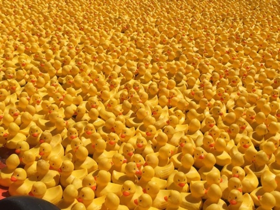 26th Annual Pawcatuck River Duck Race event photo