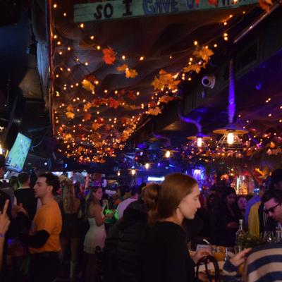 gallery photo number 447