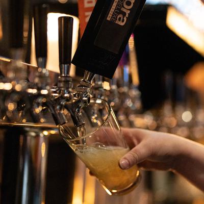 Beer being poured from the tap into a glass.