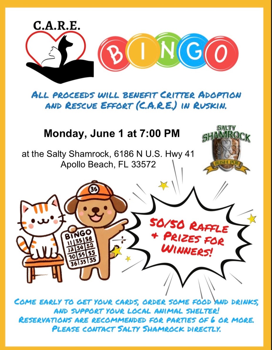 C.A.R.E BINGO event photo