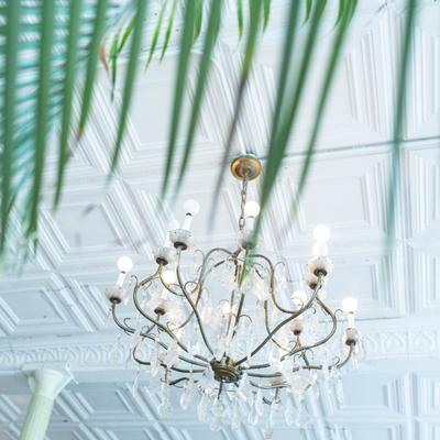 gallery photo number 21