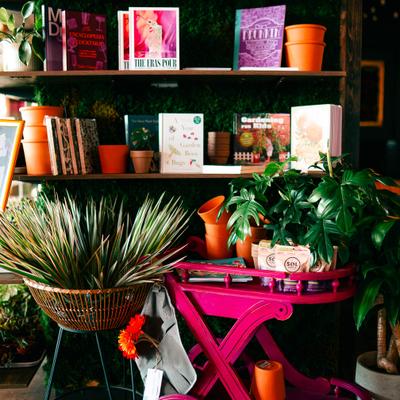 gallery photo number 12