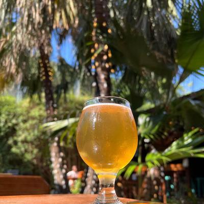 A chilled glass of amber beer sits on a wooden table in a sunlit, tropical outdoor setting.
