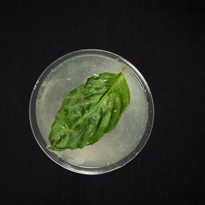 gallery photo number 21