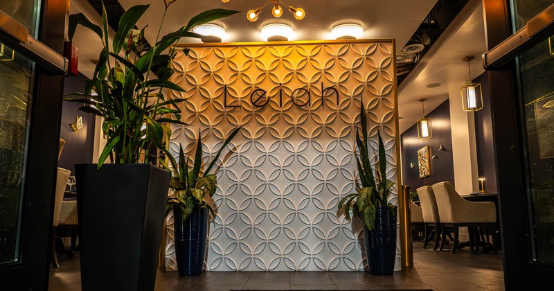 Decorative entry wall with plants and lighting