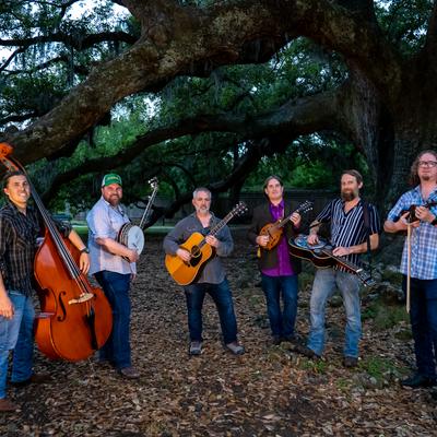 gallery photo number 520