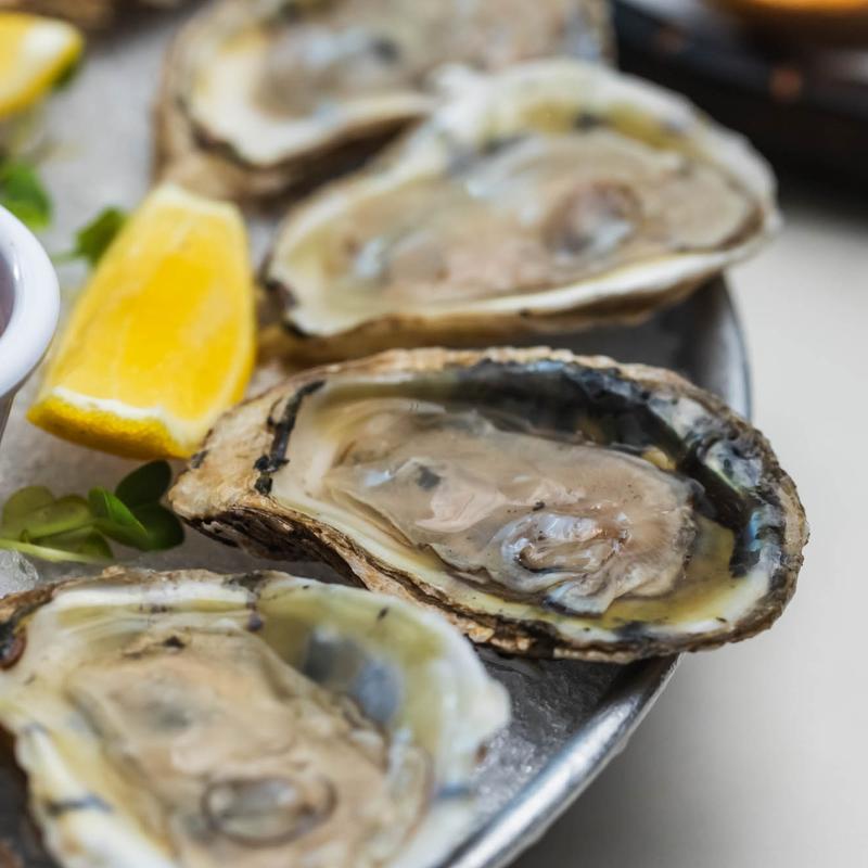 The Shell Oysters photo