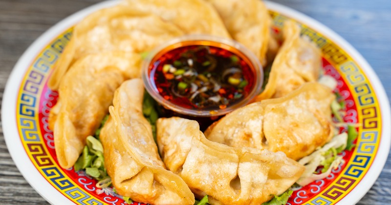 A plate of 21 potstickers, served