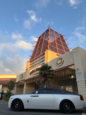 gallery photo number 98