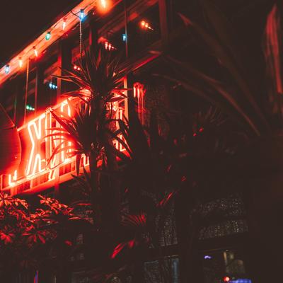 Plants and neon TIKI light sign