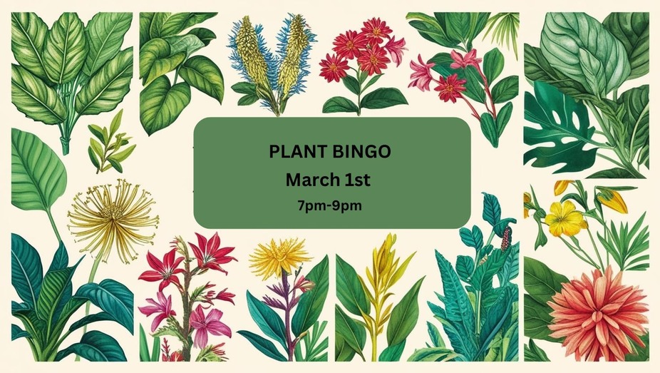 Plant Bingo event photo