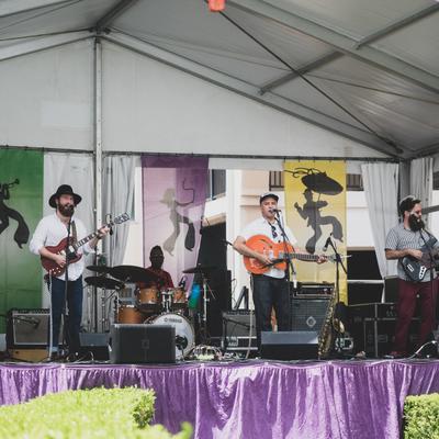 gallery photo number 235