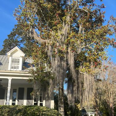 gallery photo number 34