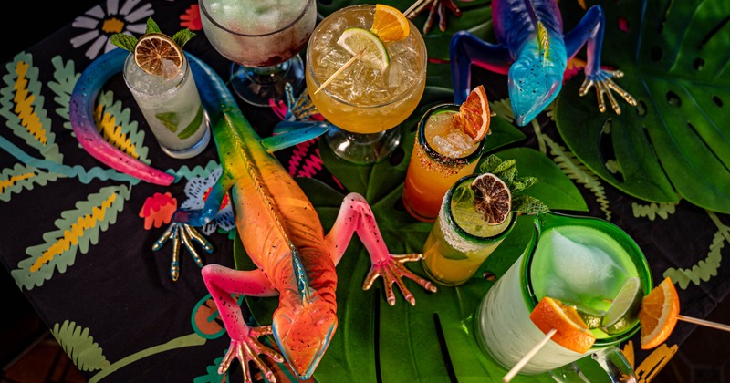 An iguana figurine next to cocktails