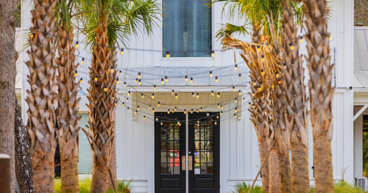 A white building entrance with black double doors is framed by palm trees, String lights hang above